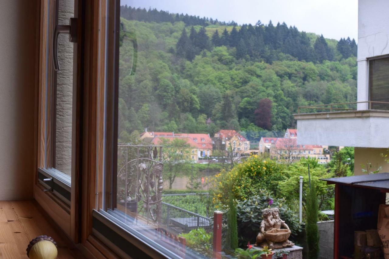 Nichtraucherferienwohnung-Neckarblick Ze-2022-74-Wz-118A Heidelberg Exterior photo